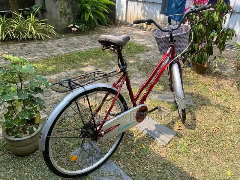 Lumala Bicycle