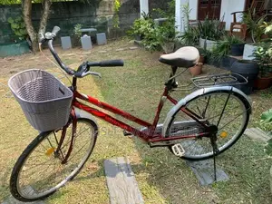 Lumala Bicycle