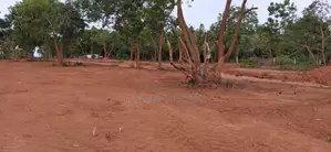 Rekawa දුරින් කදිම බිම් කොටස්