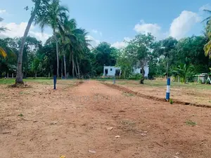 සින්නක්කර ඔප්පු සහිත බිම් කොටස් අනුරාධපුර