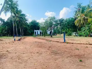 අනුරාධපුර නගරයට සමීපයෙන් සින්නකර ඉඩමක්