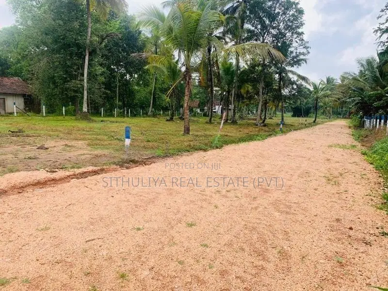 පොතුහැර දුම්රියපොළ කිට්ටුවෙන්ම බිම් කොටස්