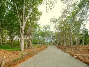 Land for Sale in Ahangama