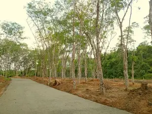 Land for Sale in Ahangama