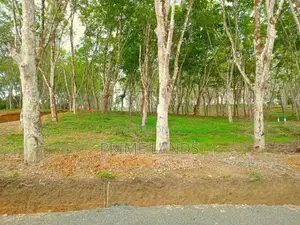 Land for Sale in Ahangama