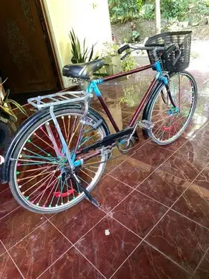 පාවිච්චිකල බයිසිකල් 2ක්