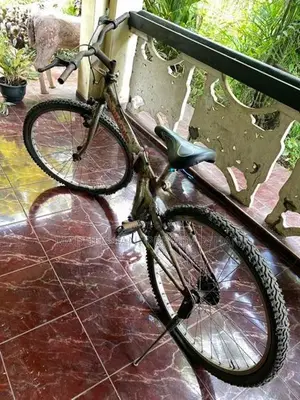 පාවිච්චිකල බයිසිකල් 2ක්