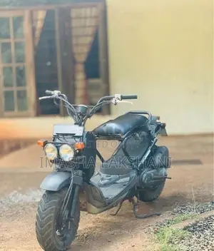 Honda Zoomer 2004