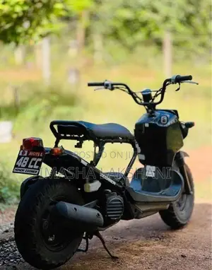 Honda Zoomer 2004