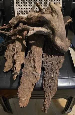 Fishtank Driftwood