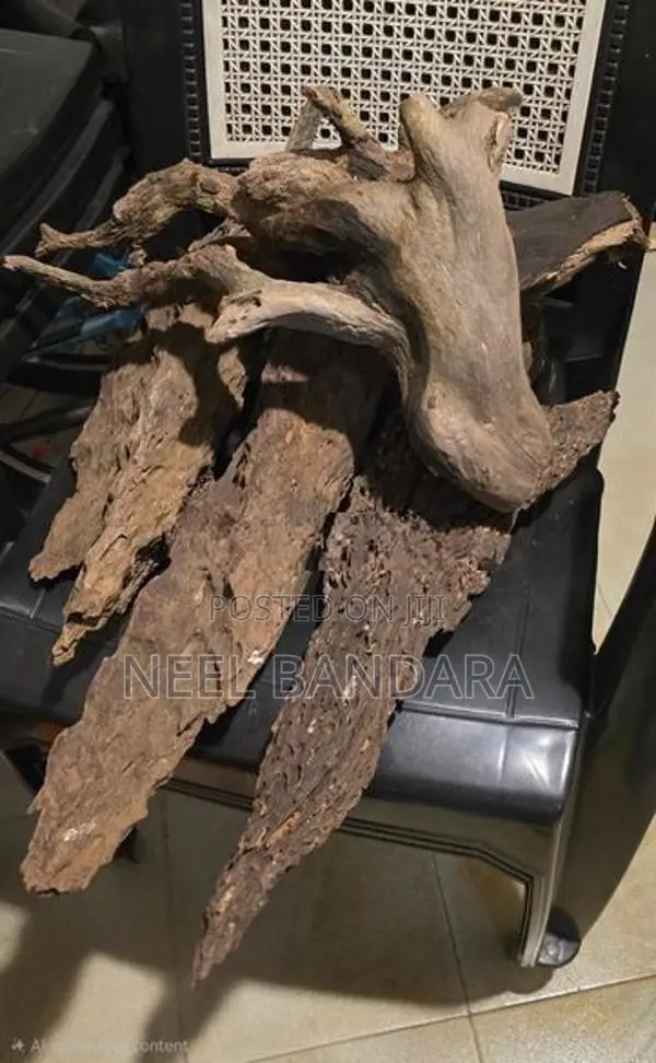 Fishtank Driftwood