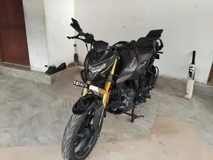 Hero Hunk 160R 2025