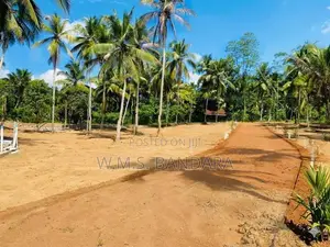 Valuable Land for Sale in Wathupitiwala. P
