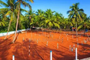 Valuable Land for Sale in Melsiripura. S