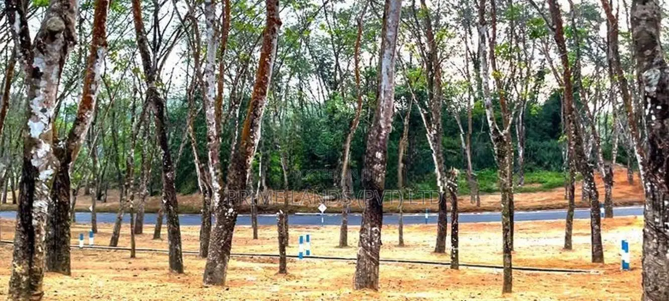 Meegoda Land for Sale