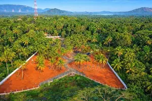 Valuable Land for Sale in Melsiripura. S
