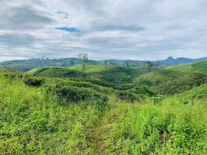 බිම් කොටස් හැටන්