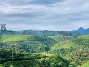 Beautiful Land Sale in Hatton