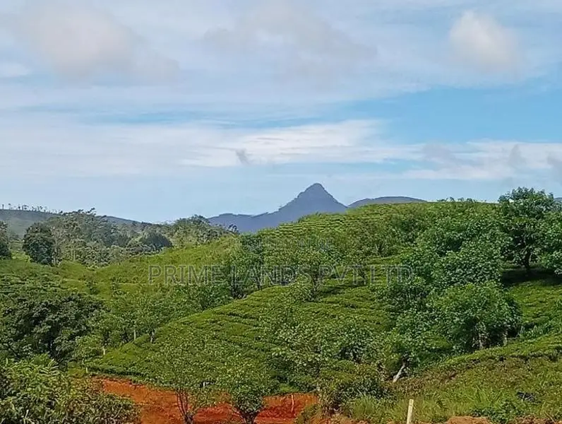 හැටන් බිම් කොටස්