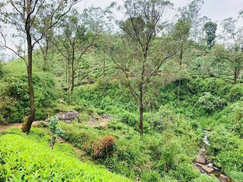 Beautiful Land Sale in Hatton