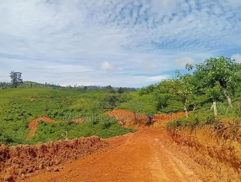 Beautiful Land Sale in Hatton