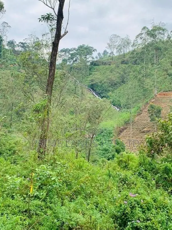 Beautiful Land Sale in Hatton