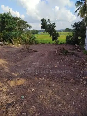 Land in Gampaha Town Plot 04