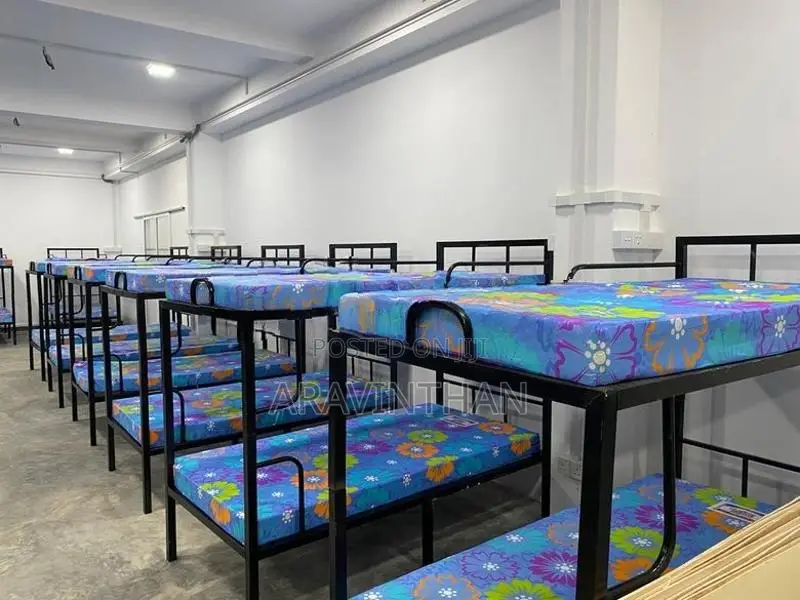 Bunker Bed Steel