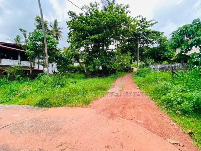 10.1 Perches Square-Shaped Flat Land Sudarshana Mawatha