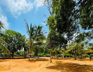 Tourism Land For Sale In Midigama ( 70M to beach)