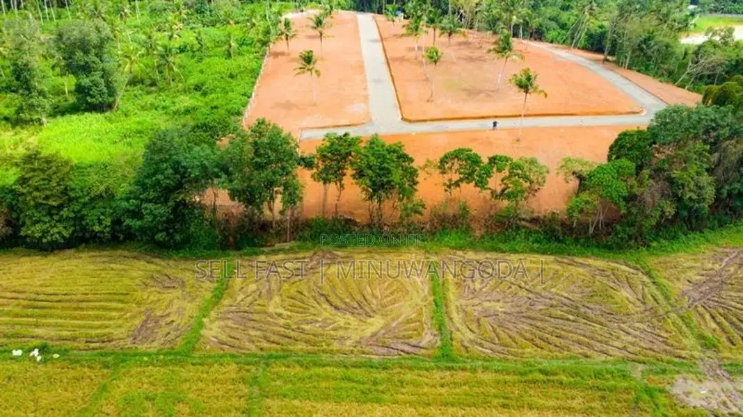 Land - Negambo