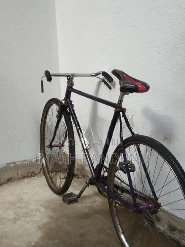 Standard Bicycles