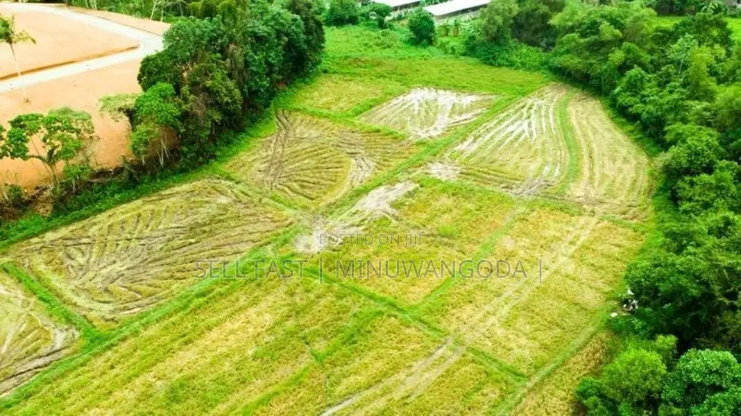 Land - Negambo