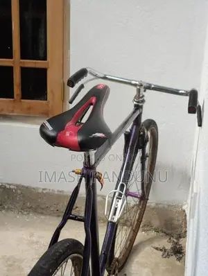 Standard Bicycles