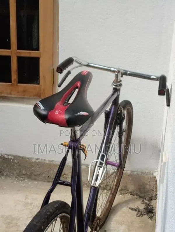 Standard Bicycles