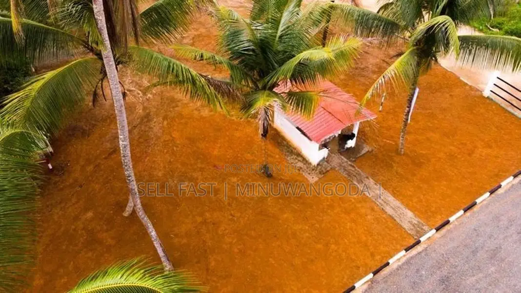 Land - Veyangoda
