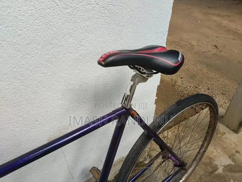 Standard Bicycles