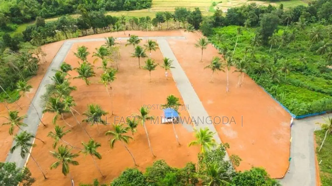 Land - Negambo