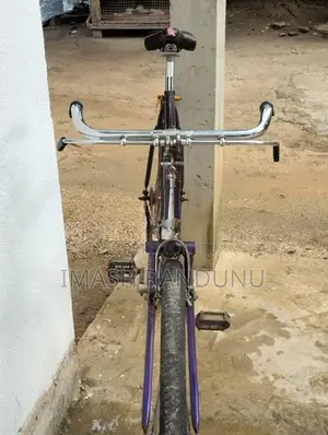 Standard Bicycles