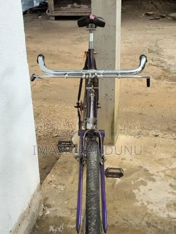 Standard Bicycles