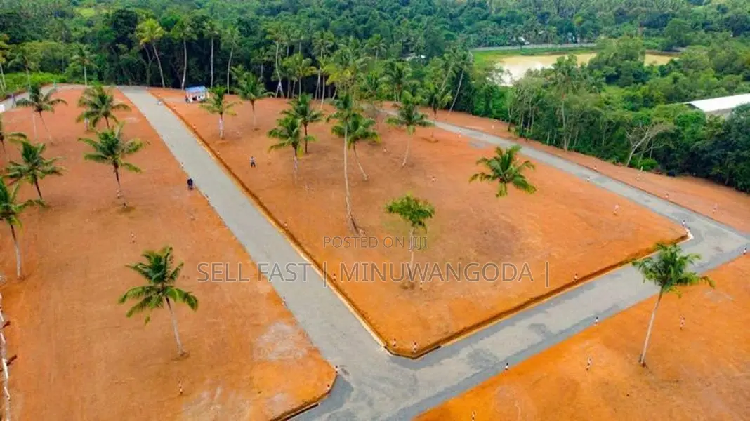 Land - Negambo