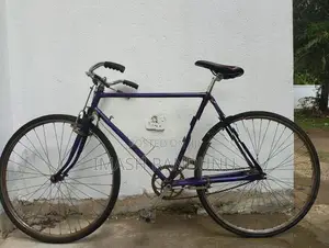 Standard Bicycles