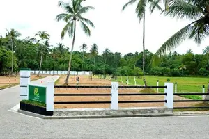 Land for Sale - Naiwala