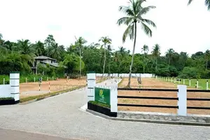 Land for Sale - Naiwala