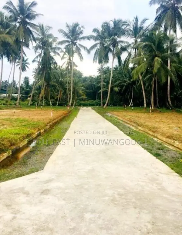 Land for Sale - Naiwala