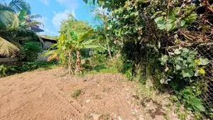 කැලණිය ගෝනවලින් පර්චස් 10.7 ක ඉඩම