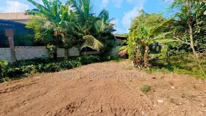 කැලණිය ගෝනවලින් පර්චස් 10.7 ක ඉඩම