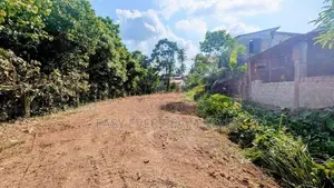 කැලණිය ගෝනවලින් පර්චස් 10.7 ක ඉඩම