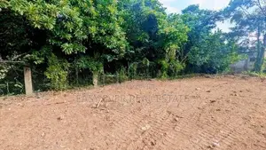 කැලණිය ගෝනවලින් පර්චස් 10.7 ක ඉඩම