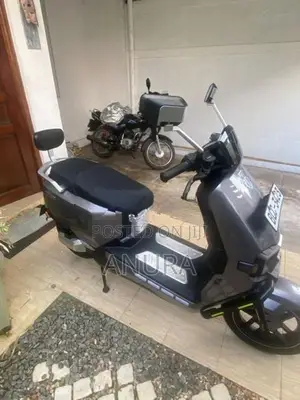 TAILG55 2026